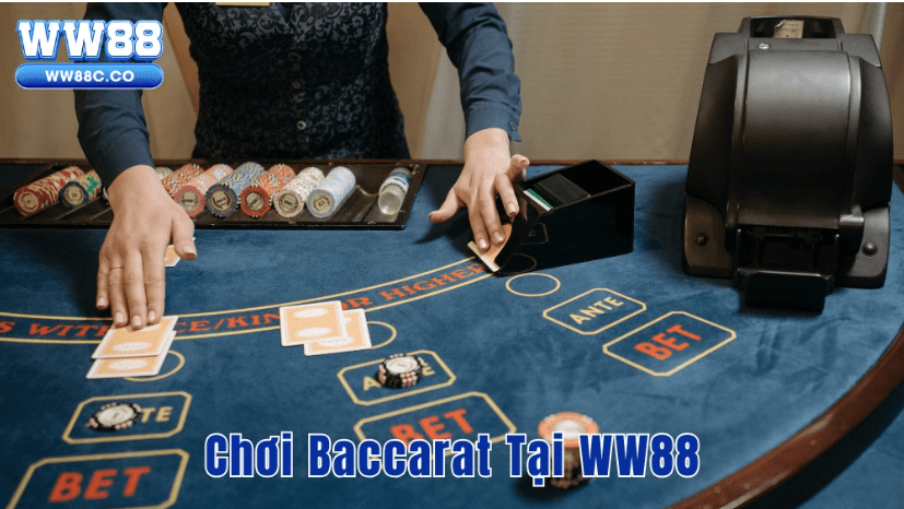 Baccarat tại WW88