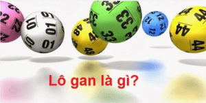 Lô gan là gì