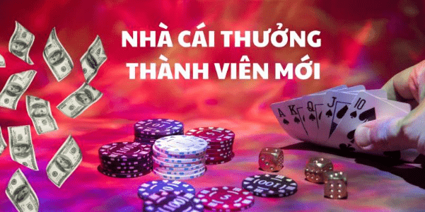 Các lưu ý cần nhớ khi tham gia chương trình ưu đãi của nhà cái