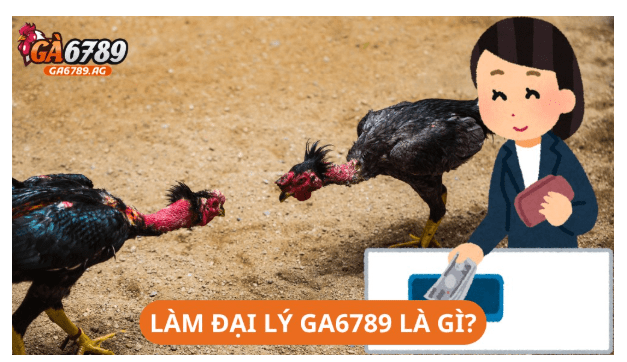 đại lý GA6789