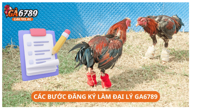 đại lý GA6789