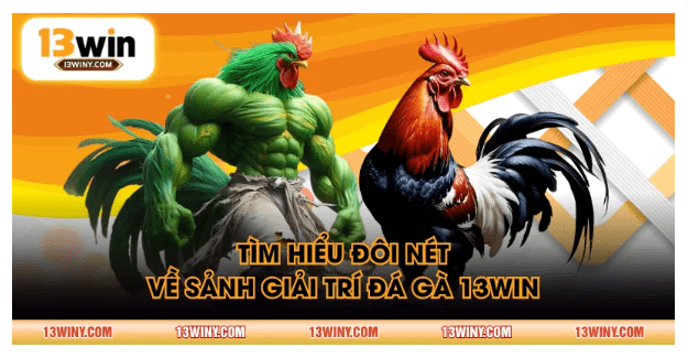 đá gà 13WIN