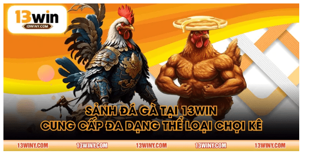 đá gà 13WIN