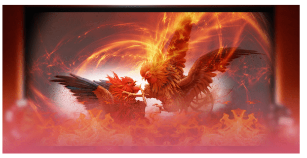 Đá Gà Cựa Sắt Q88