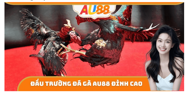 đá gà Au88